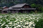 08050920.jpg
