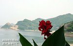 08060919.jpg