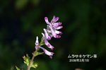 0903070500.jpg