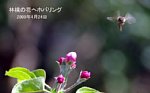 09041812.jpg
