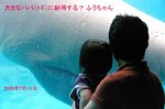 09071101.jpg