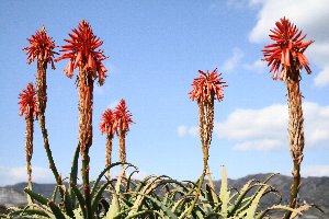 とうとう上までやって来ました