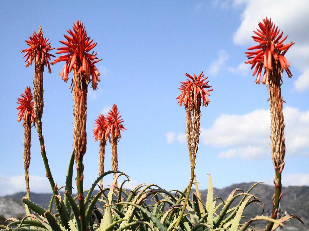 2010.2.3��܂ŗ��܂���