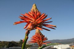 �A���G�̃��|�[�g�փW�����v���܂�