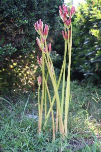 �Ԃ��J���n�߂܂���