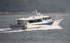 カメリア★スター