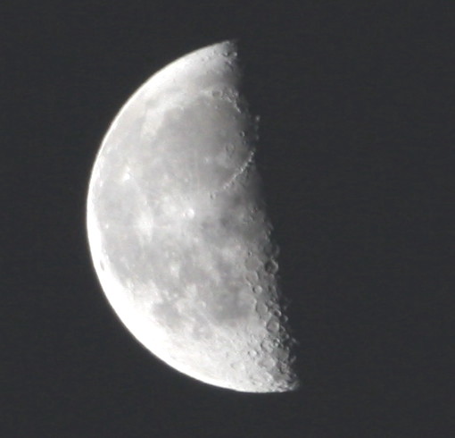 �����̌�