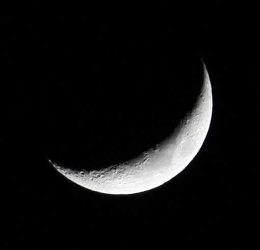 �O�����`