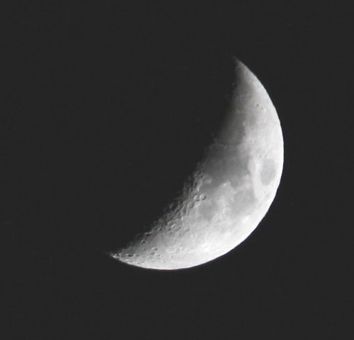 ���������O����