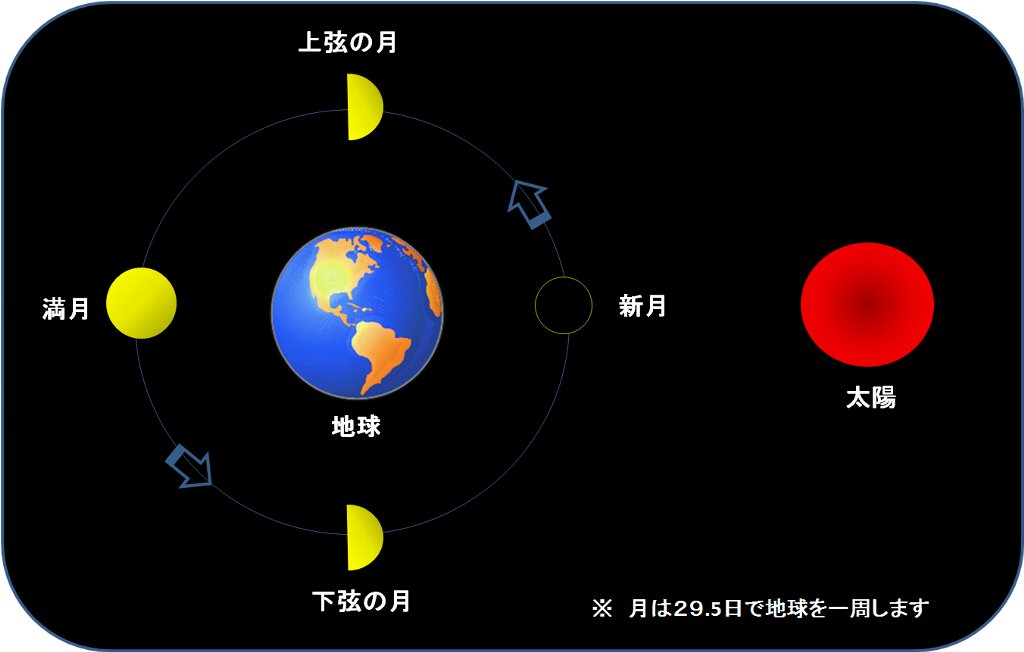 ���̖�������