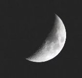 ���̌����O����