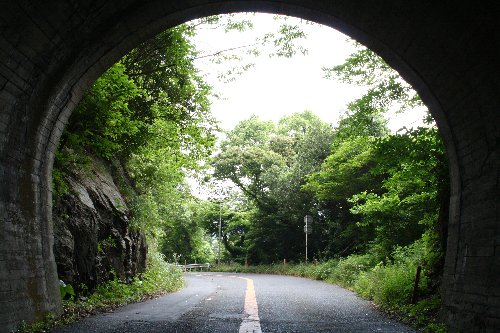 ��{��詓�2