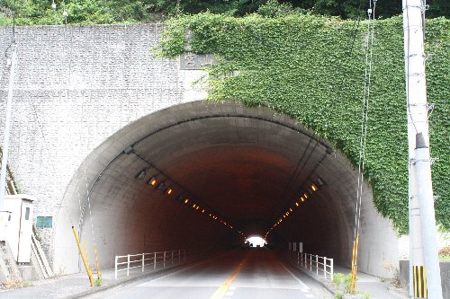 �{�R�g���l��2