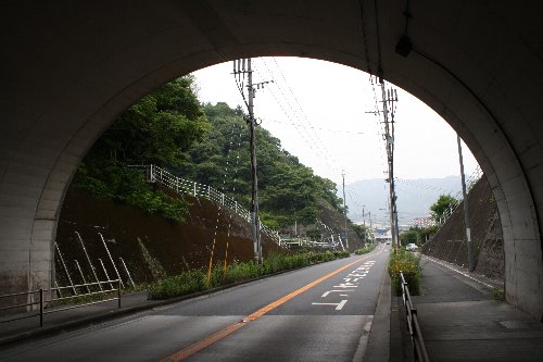 �{�R�g���l��6