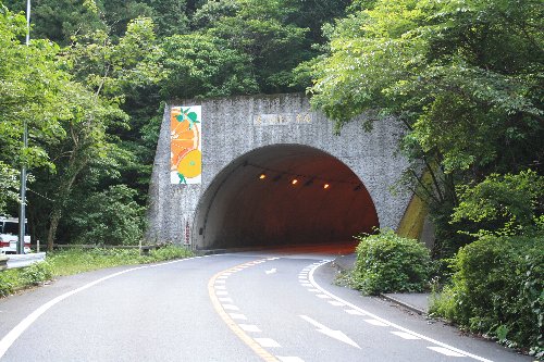 �F�̓��g���l��1