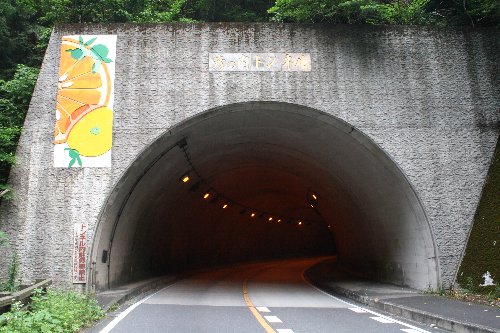 �F�̓��g���l��2