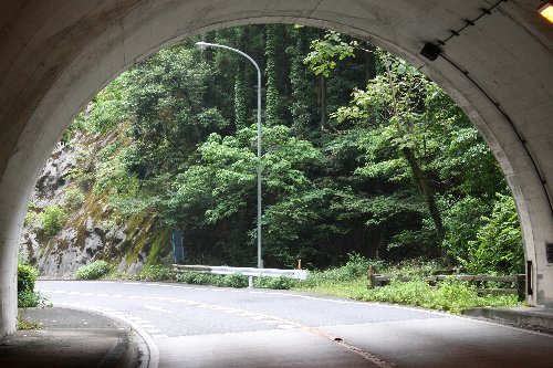 �F�̓��g���l��3