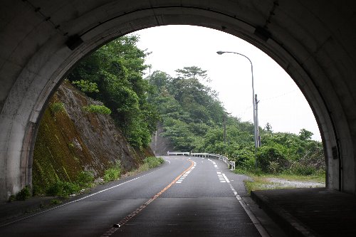 �F�̓��g���l��6