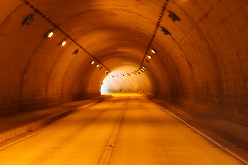 �F�̓��g���l��4