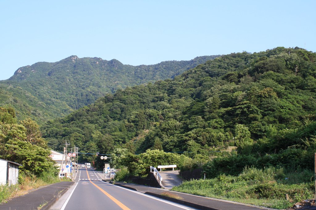 �F�x�g���l��5