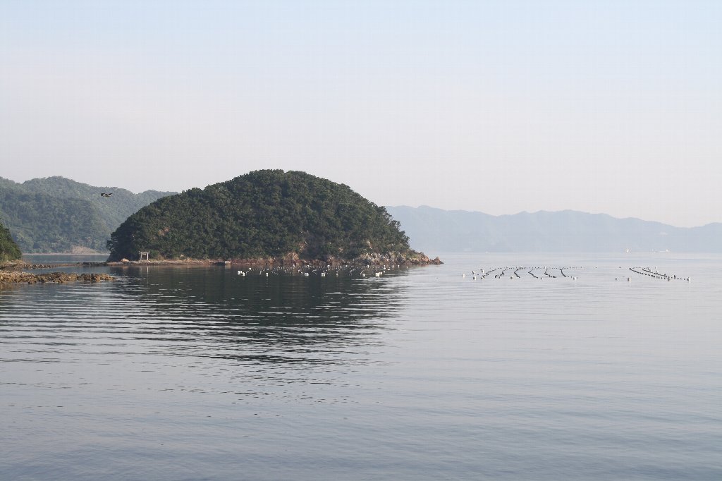 �ԑ�g���l��7