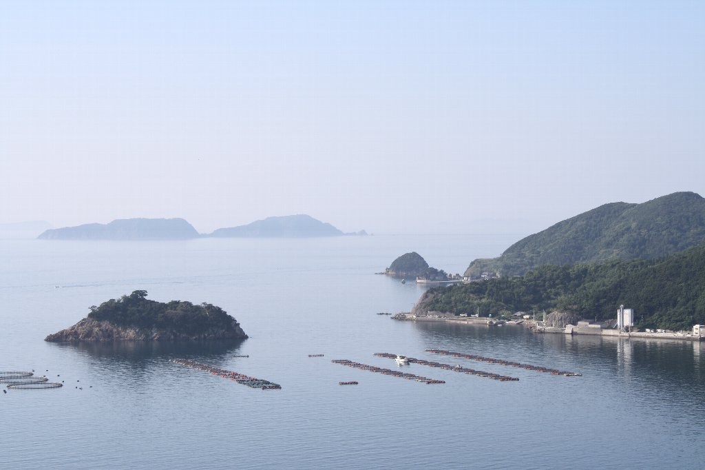 ���l�g���l��1