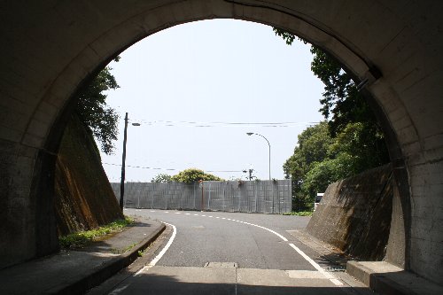 ���l�g���l��3