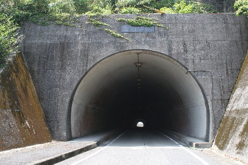 ���l�g���l��4