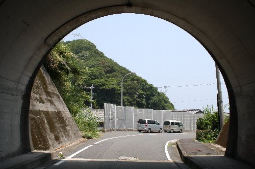 ���l�g���l��5