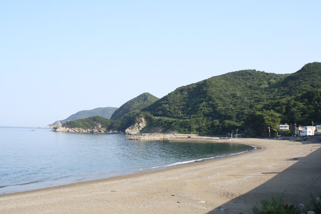 ���l�g���l��6