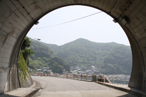 �����g���l��3