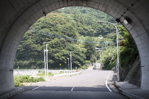 �����g���l��5