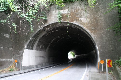 ���g���l��1