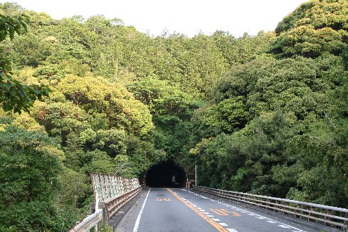 ���g���l��3