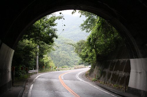 ���g���l��4