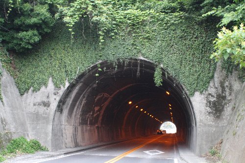 ���x�g���l�G��3