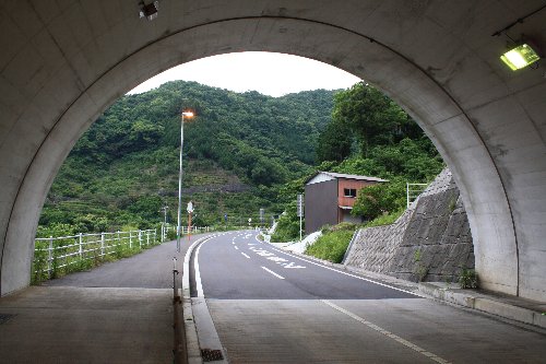 ����g���l��4