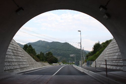 �V�����g���l��2