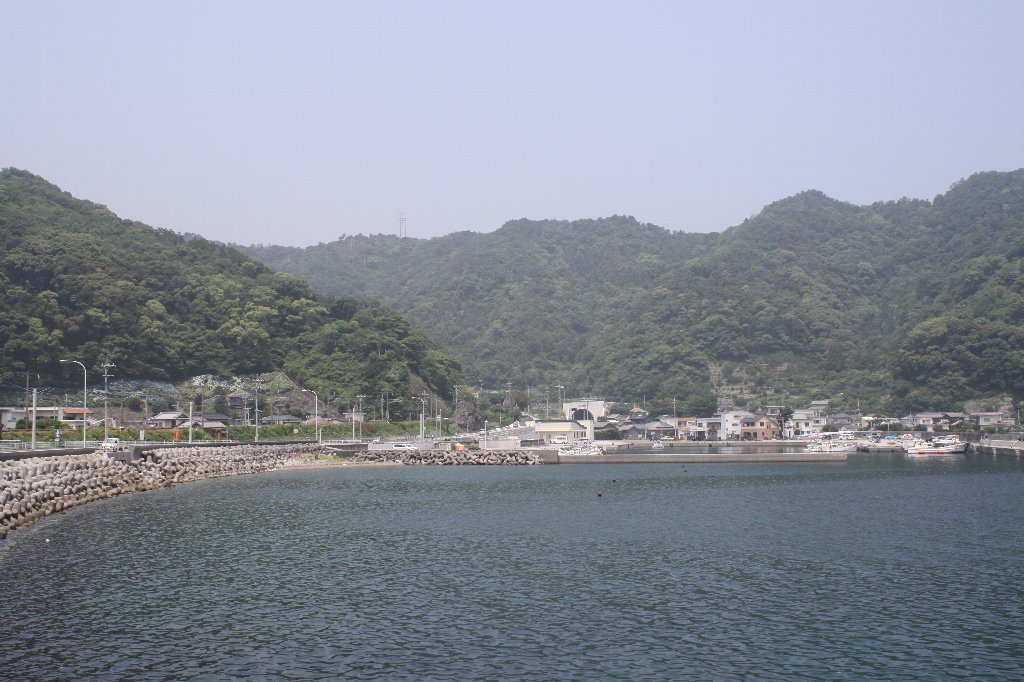 �V�����g���l��5