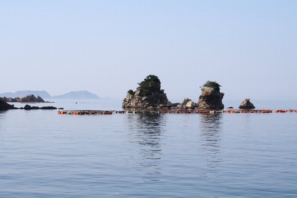 �v�۔��g���l��6