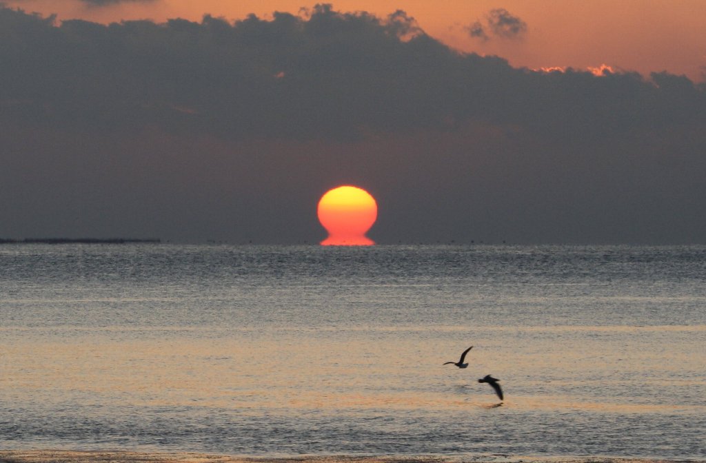 ����ܑ��z�Y�[��