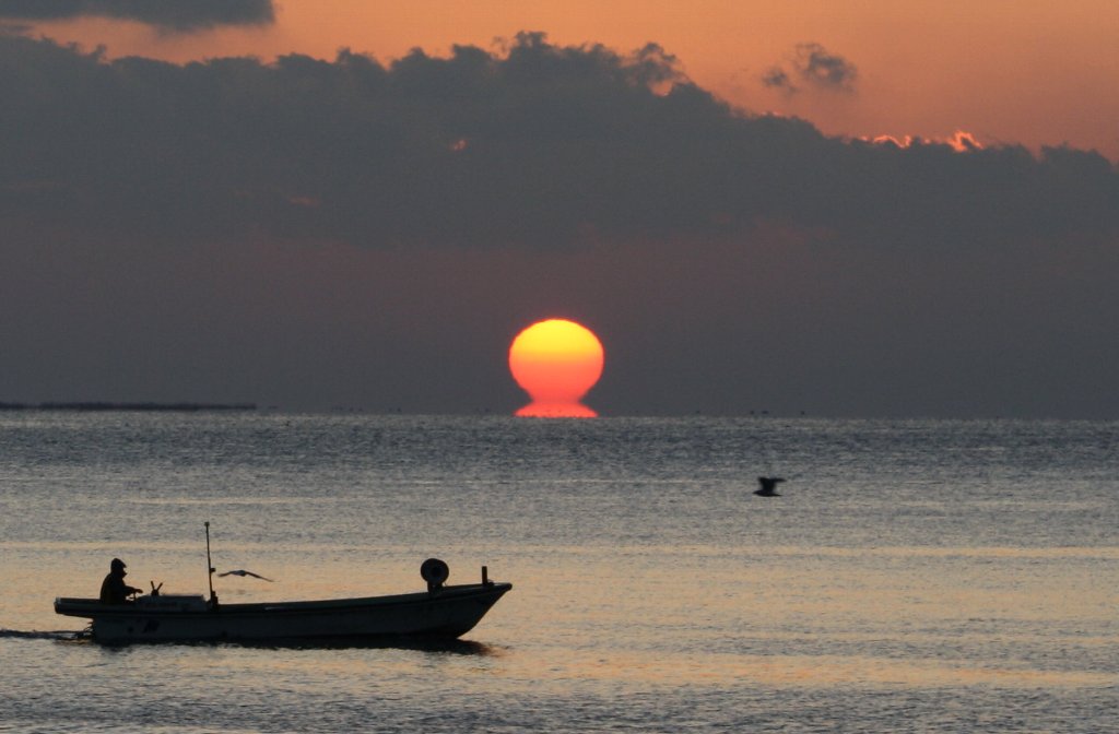 ����ܑ��z�Y�[��