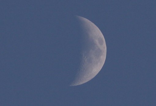 �����̌�