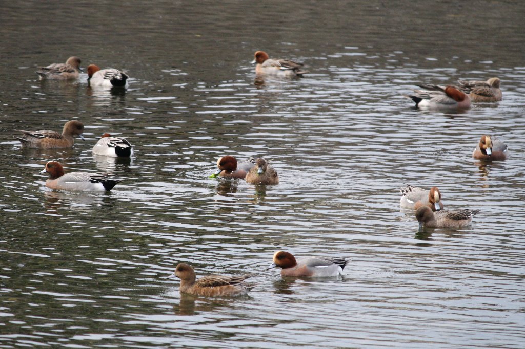 ���l�����}������