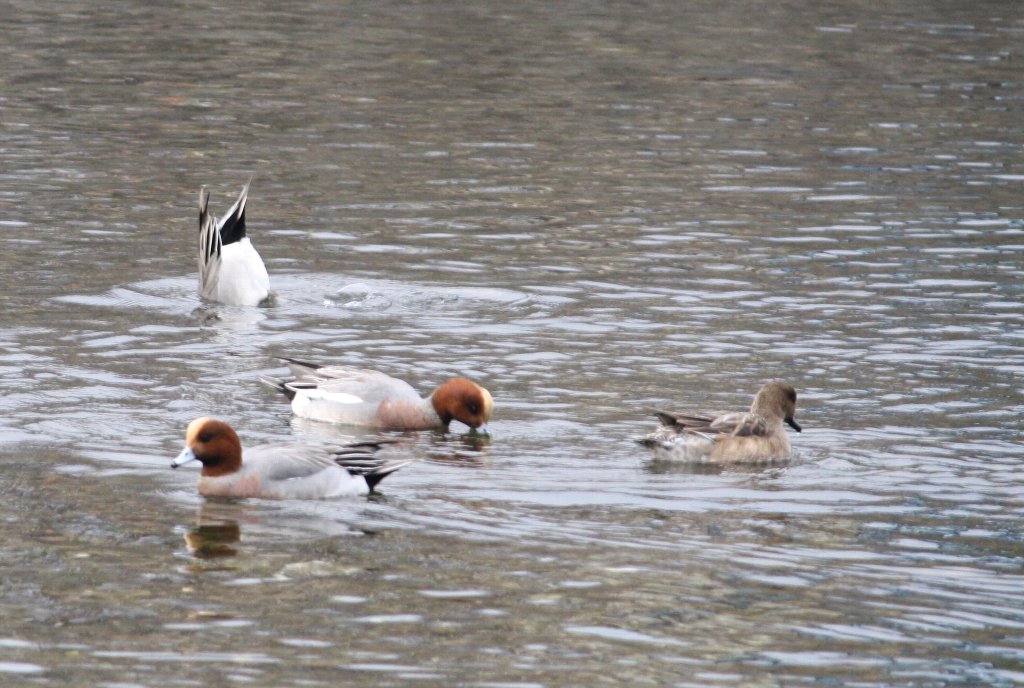 ���`����