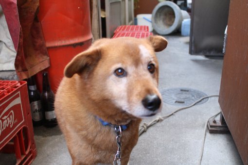 ���g�\�������x