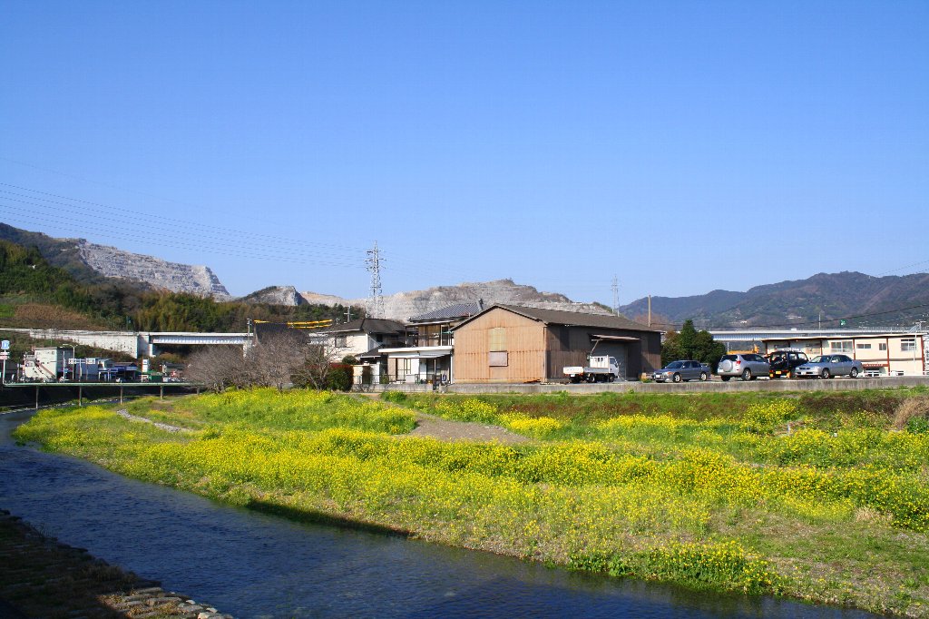 �ǂ�ǂ��ƍ؂̉�