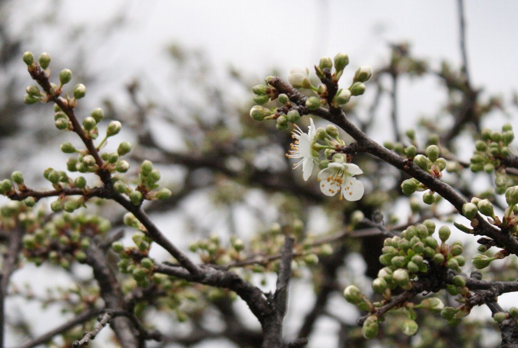 �\���C���V�m