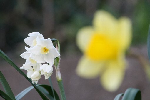 ���F�̐���