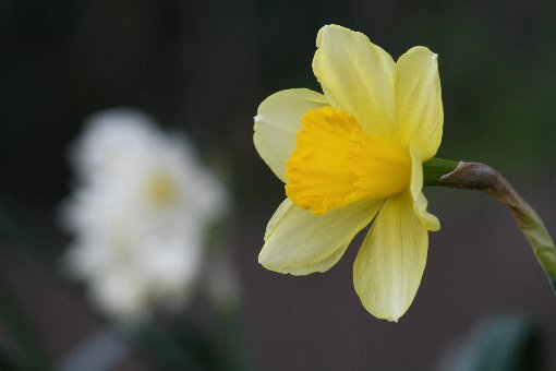 ���F�̐���